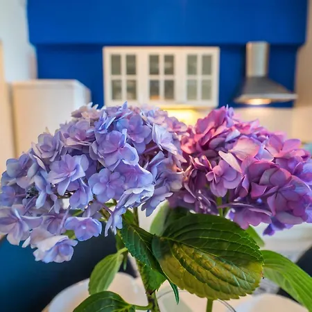 Bltn Panorama Lägenhet