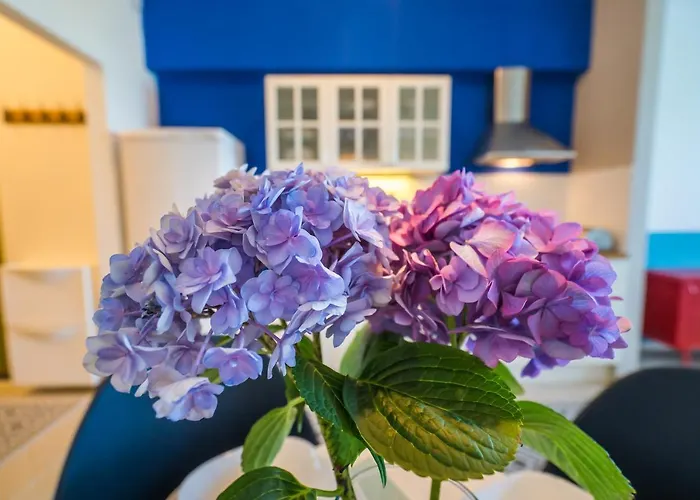 Bltn Panorama Apartament